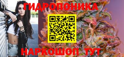 экстази Аргун