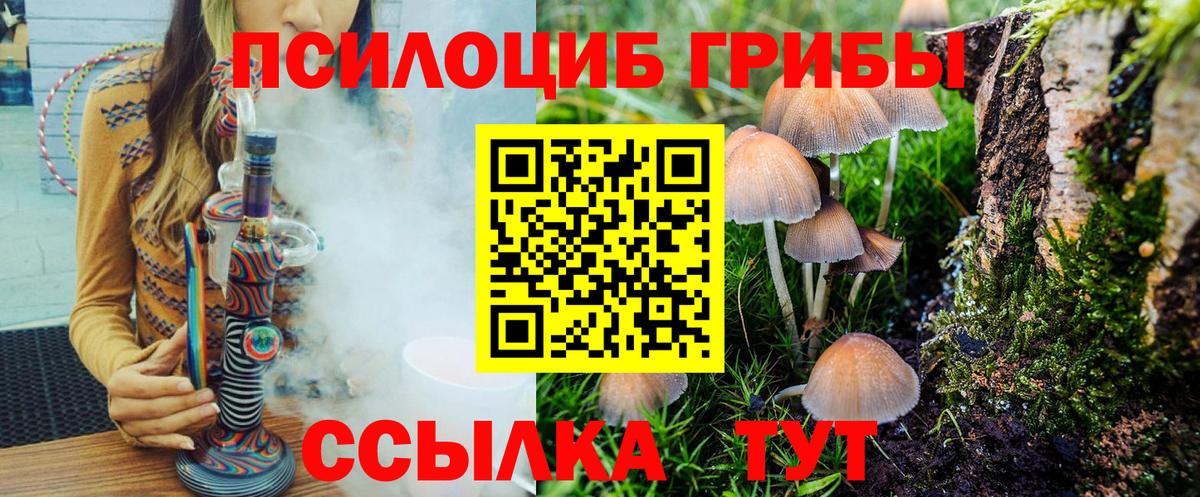 Будённовск  Галлюциногенные грибы мицелий  Вход с VPN 
